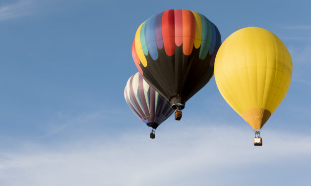 Aiming sky high for inclusion: the CIF and Irish Centre for Diversity charter